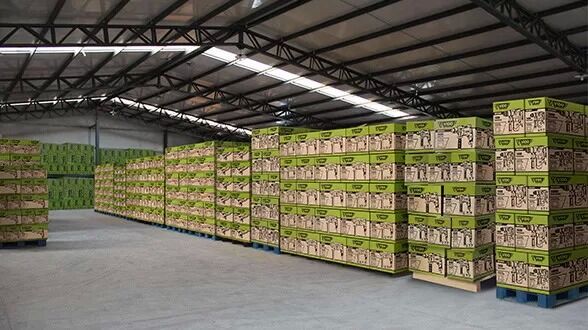 Ellawig companys factory production line