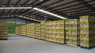 Ellawig companys factory production line