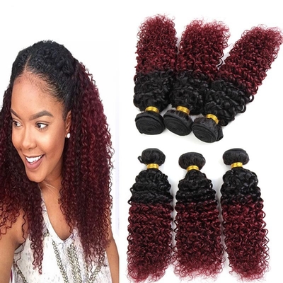 1B / 99J Grade 8a Hair Extensions , Ombre Brazilian Kinky Curly Human Hair 