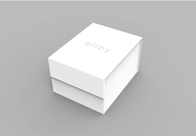 Acceptable Customer′s Logo Environmental Style  Folding  Paper Gift Box