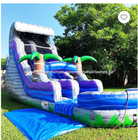 Commercial inflatable custom water slide Castle indoor backyard adult giant