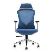Ergonomic Structure Tilt 3 Gears Adjustment Blue Office Revolving Chairs