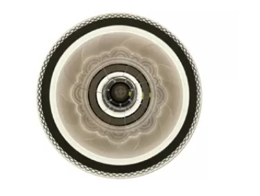 AC220v Round Remote Control Ceiling Fan Light D500*H150MM